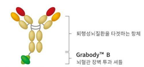 [서울=뉴시스] 에이비엘바이오의 뇌혈관장벽 투과 셔틀 '그랩바디-B' (사진=에이비엘바이오 제공) 2025.04.08. photo@newsis.com *재판매 및 DB 금지