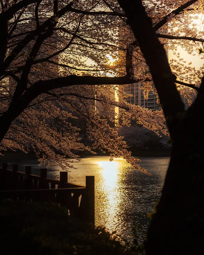 3ab8d236c1e11bf636e68fe158c6213fda55dc118c3e1a35527fa64a2149