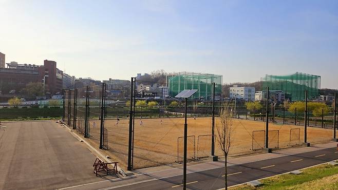 20250408_172522.jpg 저녁 배달 피자에 쏘주한잔