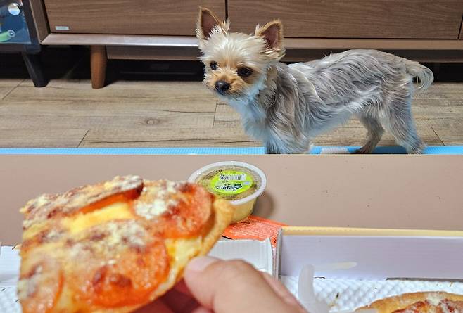 20250408_220951.jpg 저녁 배달 피자에 쏘주한잔