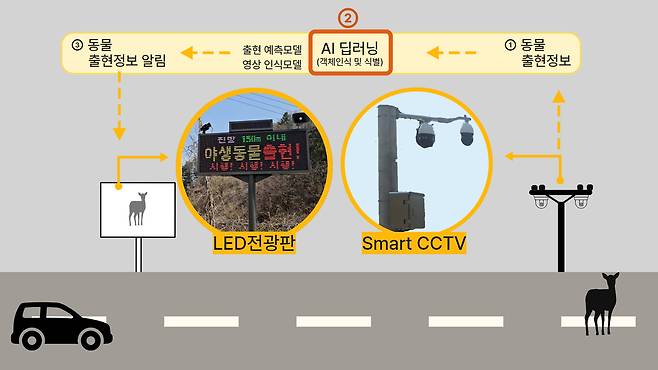 동물 찻길 사고 예방 및 모니터링 시스템 구성도. 포스코DX 제공