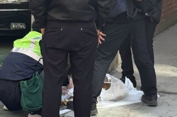 쓰레드@cha_chaping9 화면 갈무리