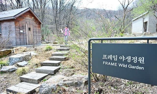 닻미술관 뒷편에는 산책로를 따라 프레임 야생정원을 통해 사계절의 자연을 느낄 수 있다. 홍기웅기자