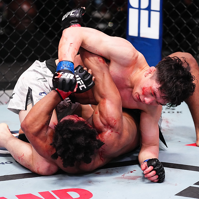 이창호가 2025년 4월 미국 네바다주 엔터프라이즈 UFC on ESPN 65 밴텀급 경기에서 상위 포지션을 유지하며 그라운드 앤드 파운드로 코르테이비어스 로미어스를 공격하고 있다. 사진=TKO