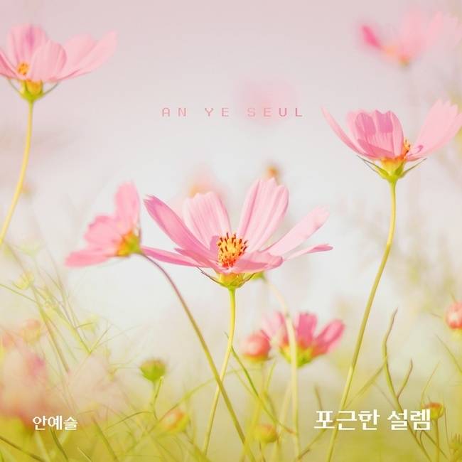 요구르트 스튜디오 제공