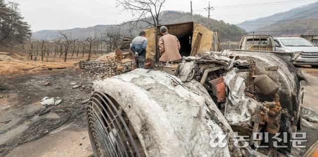 경북 청송군 파천면의 한 사과농장이 지난달 발생한 산불로 폐허가 됐다. 피해농민들이 불타버린 과원을 살펴보고 있다. 청송=이종수 기자