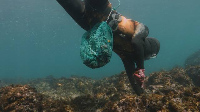 영화 ‘물꽃의 전설’ 스틸컷