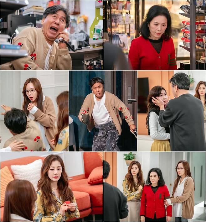 사진 제공 : 스튜디오 플럼