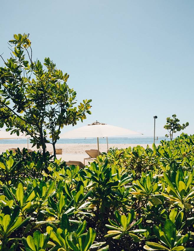 발리 누사두아의 바다는 깔끔한 백사장이 가득하고, 무엇보다 한적하다. 발리에서는 보기 드문 평안함을 품은 바다다