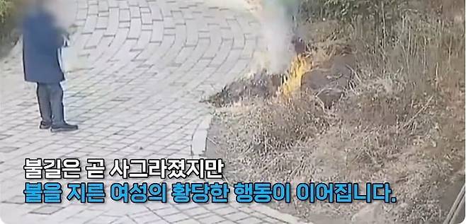 20250411060831_WC9RVcwO2X.jpeg 아파트 단지 화단에 불지른 여자
