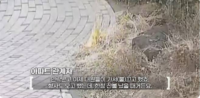 20250411060833_SaO0rQp3wH.jpeg 아파트 단지 화단에 불지른 여자