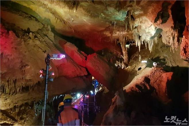 동해 천곡황금박쥐동굴 내부. 전영래 기자