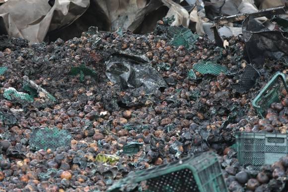 경북 의성 산불이 나흘째 이어지던 지난달 25일 오후 의성읍 중리리의 한 사과 창고가 산불로 불에 타 내려앉아 있다.  의성 뉴스1