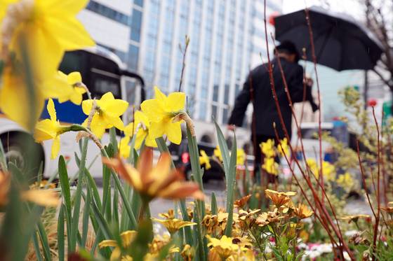 지난 5일 서울 종로 한 화단 옆 인도에서 우산을 쓴 시민이 이동하고 있다. 〈사진=연합뉴스〉