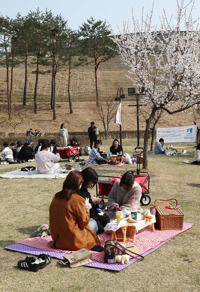 ‘안녕, 피크닉 숲’에서 대여한 소풍 세트를 용연 앞 잔디에 펼쳐 놓고 망중한을 즐기는 젊은이들. 박미향 기자