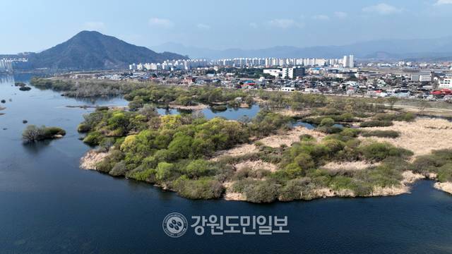 ▲ 4월이 시작되며 찾아오 봄바람에 나무와 꽃들이 봄소식을 전하고 있다. 10일 춘천 소양강 주변에 나무들에 초록의 옷을 입어 봄기운이 깊어감을 느끼게 하고 있다. 김정호