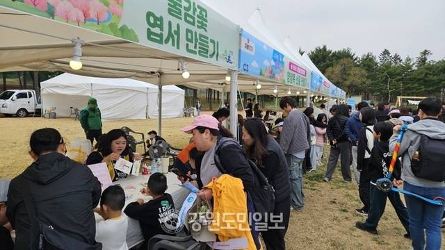 ▲ 12일 속초 영랑호 잔디광장 일원에서 열린 ‘영랑호 벚꽃축제’ 행사장에 많은 시민과 관광객들이 몰려 성황을 이루고 있다.