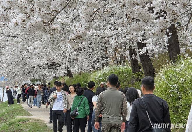 12일 오후 강원 춘천시 공지천에서 상춘객들이 활짝 핀 벚꽃길을 걷고 있다.