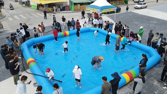 맨손으로 ‘바다송어잡기’ 체험 중인 시민들. 홍성군 문화관광