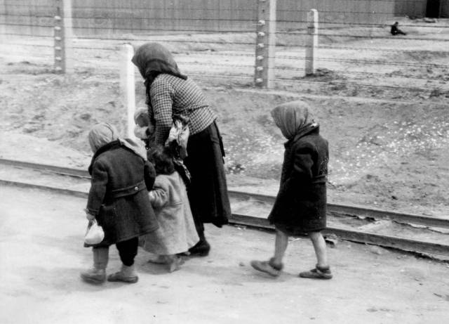 ▲ 열차에서 내린 뒤 가스실이 있는 처형장 쪽으로 걸어가는 엄마와 아이들. ⓒBernhard Walter, Yad Vashem