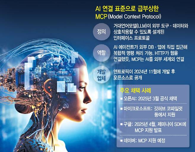 [이데일리 문승용 기자]