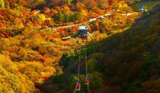 내장산 케이블카를 타면 내장산 전체 산세를 한눈에 볼 수 있다. 한국관광공사