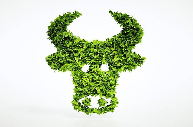 /사진=게티이미지뱅크