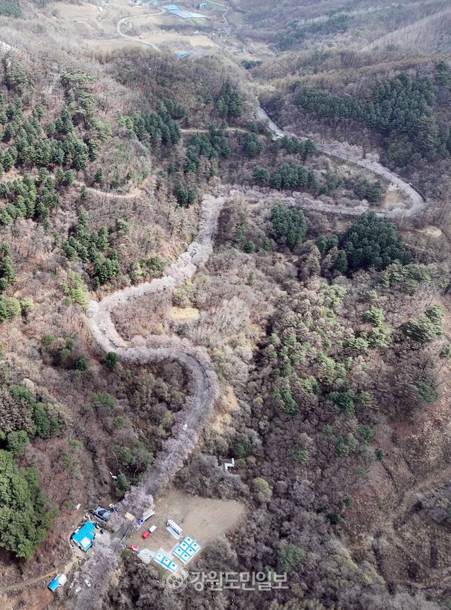 ▲ 강원지역에  봄눈이 내린 13일 춘천 부귀리 벚꽃 길 위로 눈이 쌓여 이색적인 풍경을 만들고 있다. 방도겸