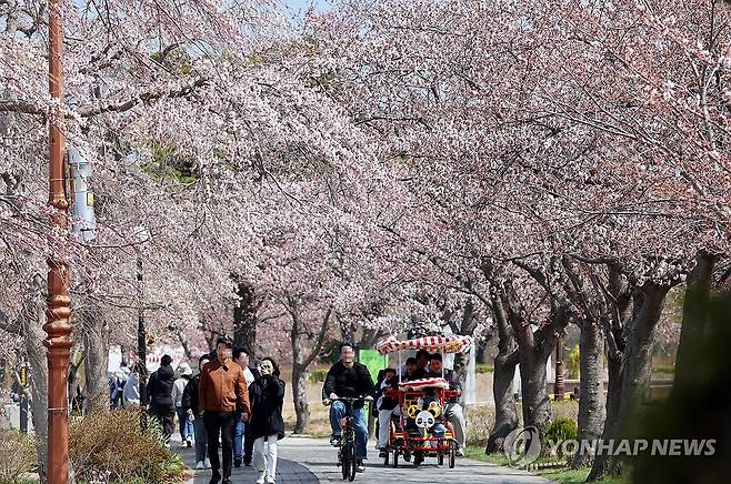 나들이하기 좋은 봄날…강릉 경포호 (강릉=연합뉴스) 유형재 기자 = '2025 강릉 경포벚꽃축제'가 한창인 지난 6일 벚꽃이 활짝 핀 강릉 경포호 산책로에서 나들이객들이 봄을 즐기고 있다. 2025.4.6 yoo21@yna.co.kr