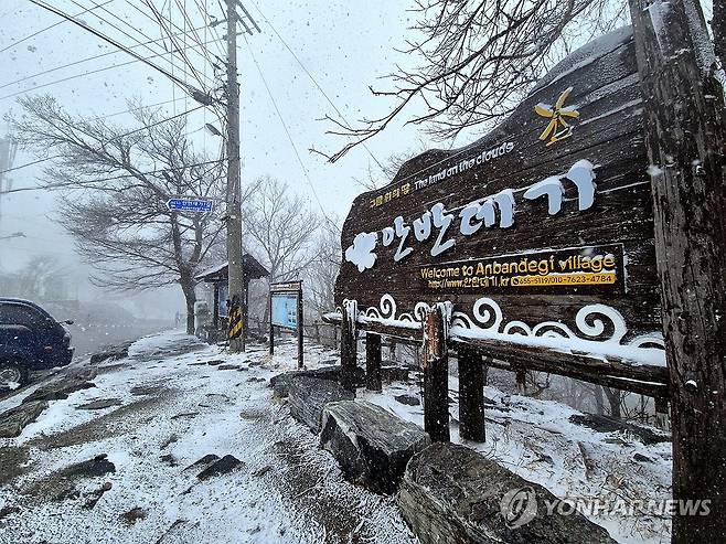 눈보라 치는 강릉 안반데기 (강릉=연합뉴스) 류호준 기자 = 13일 오후 강원 강릉시 왕산면 대기리 안반데기 일원에 눈보라가 치고 있다. 2025.4.13 ryu@yna.co.kr