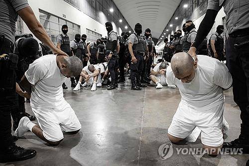 엘살바도르 감옥에 입소하며 삭발당하는 베네수엘라 출신 입소자들 [AFP를 통해 배포된 엘살바도르 대통령실 제공 사진. DB 및 재판매 금지. 크레딧 표시 필수. MANDATORY CREDIT "AFP PHOTO / EL SALVADOR'S PRESIDENCY PRESS OFFICE" - NO MARKETING NO ADVERTISING CAMPAIGNS] 2025.3.17.