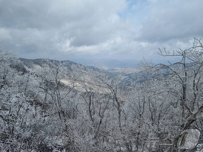 지난 13일 전북자치도 무주덕유산국립공원이 눈으로 뒤덮인 모습(덕유산국립공원 제공. 재판매 및 DB금지) 2025.4.14/뉴스1