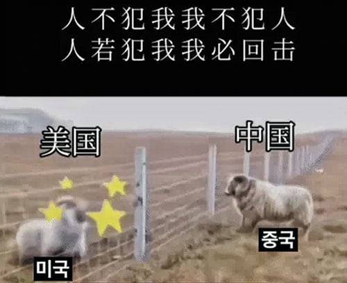 다이빙 주한 중국 대사가 11일 엑스에 올린 영상 장면. ‘미국’이라고 표기된 양이 ‘중국’ 양과 박치기를 했다가 뒤로 꼬꾸라져 있다. ‘적이 나를 공격하지 않으면 나도 공격하지 않으며, 만약 나를 공격하면 반드시 반격한다’는 뜻의 글도 적혀 있다. /엑스(X)