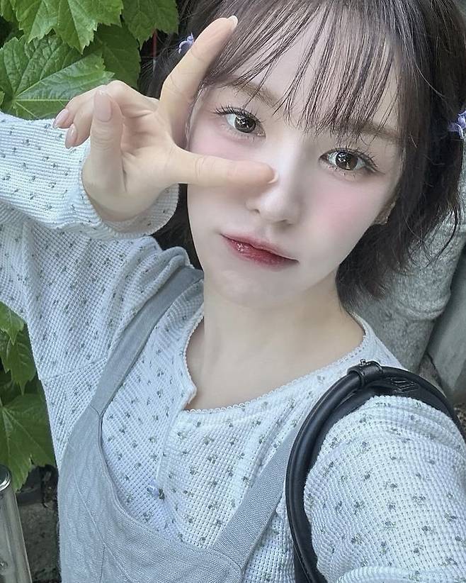 인스타그램 @todayis_wendy