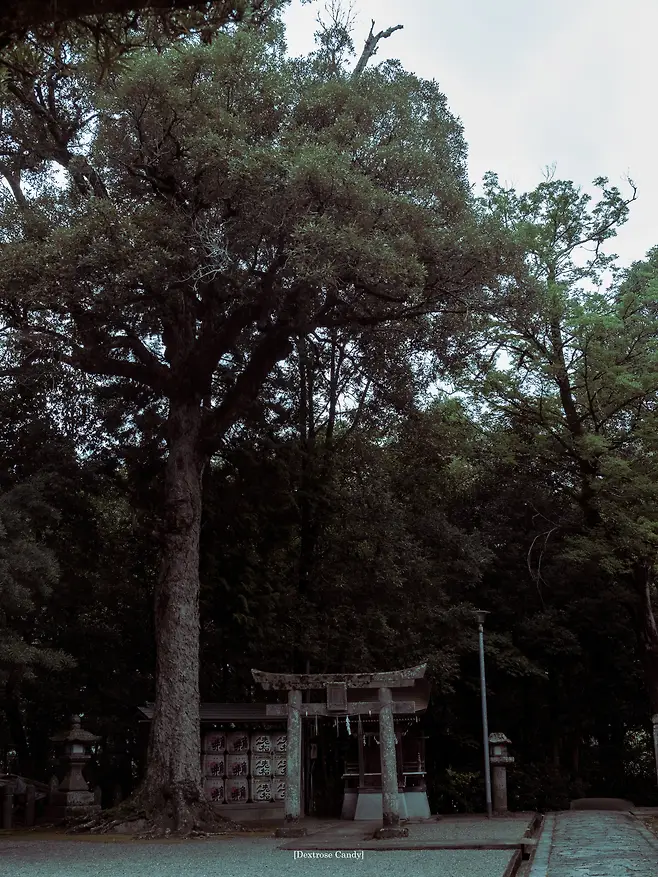 1a98f219d58368f63beb87e05b836a2ac3130c806b680ad505b10f2f3b6b83f6