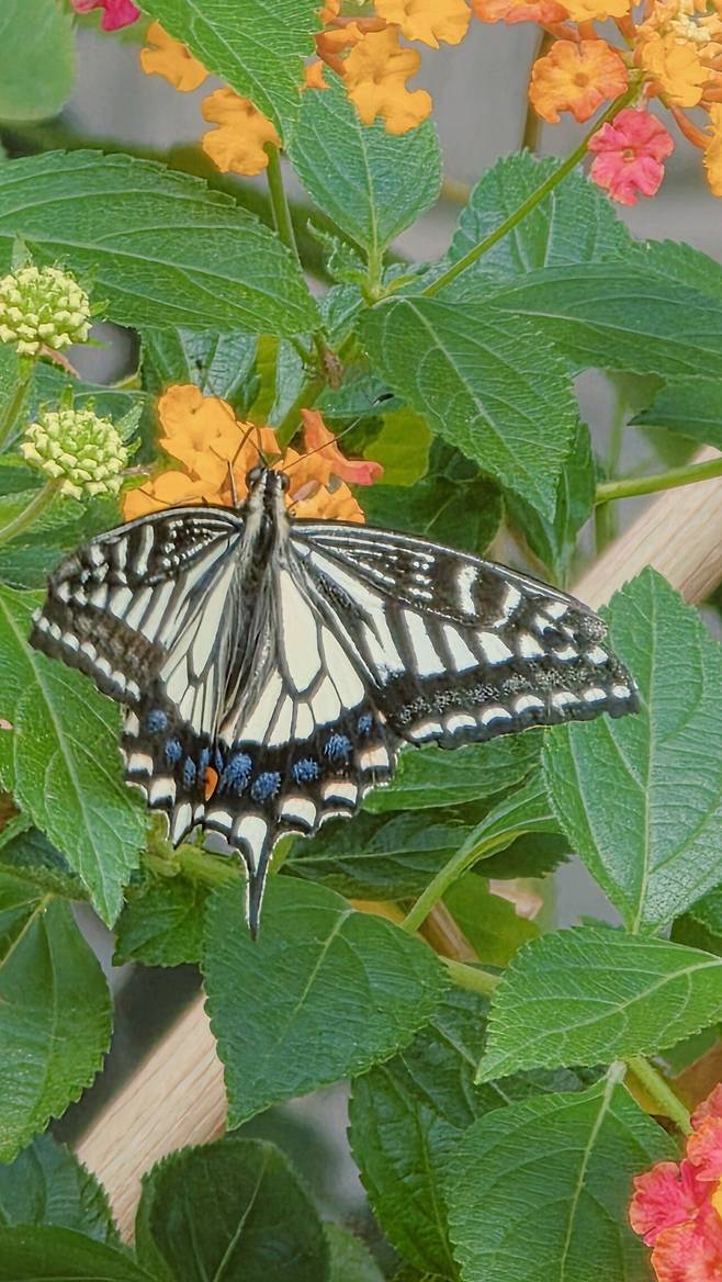 20250413_143751.jpg 남해여행