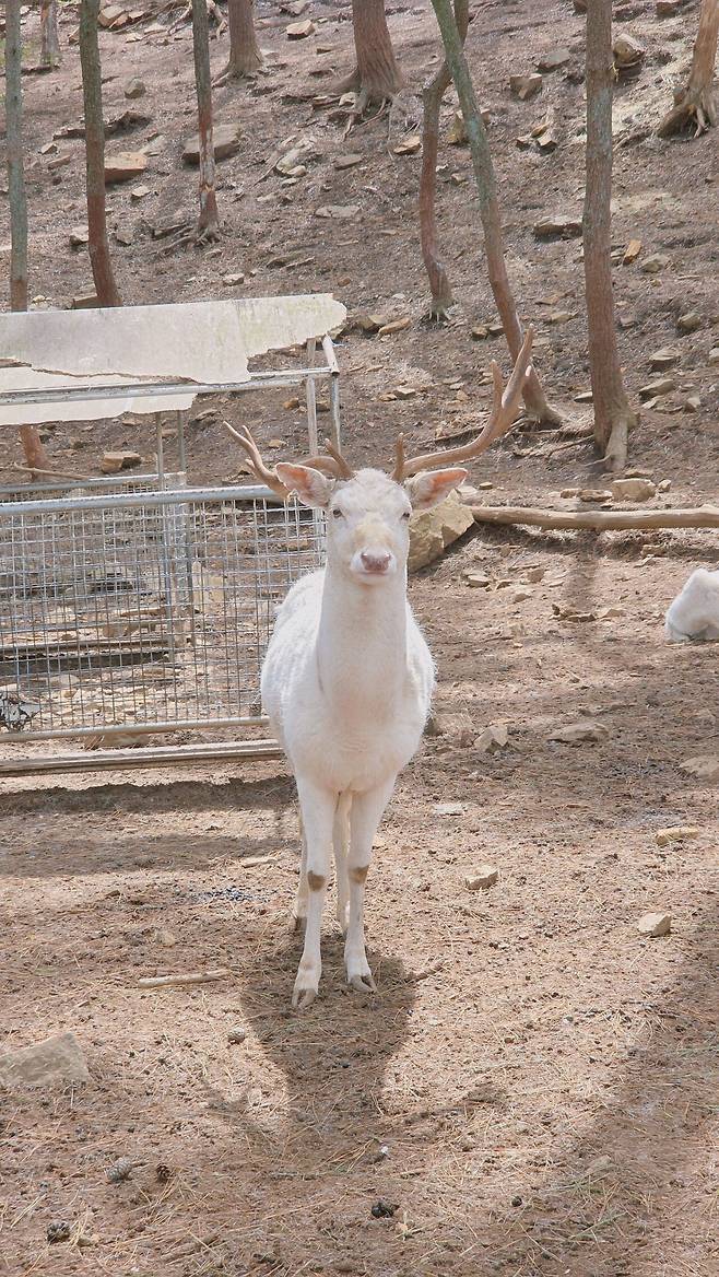 20250414_122333.jpg 남해여행