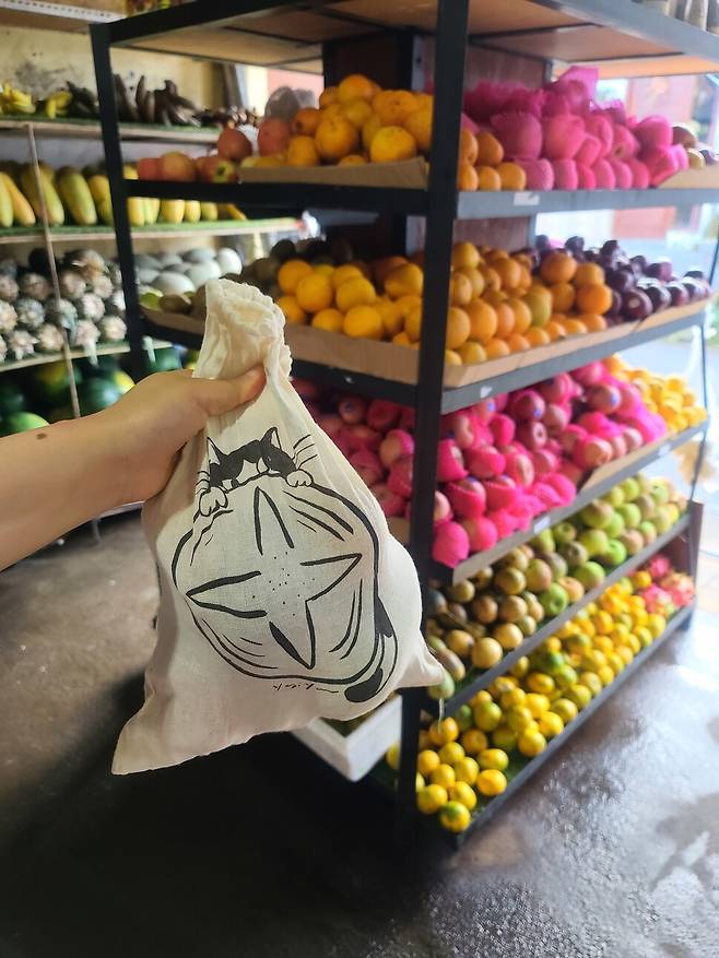 인도네시아 발리에 있는 과일가게에서 준비해 간 장바구니에 과일을 사서 담은 모습. 무포장으로 진열돼 있는 과일을 사서 장바구니로 담아오면 \'제로 웨이스트\' 과일 장보기를 할 수 있다. 이시원 제공