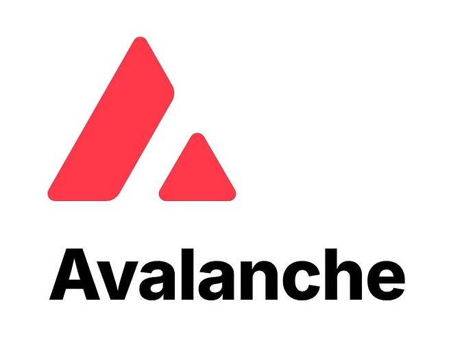 아발란체. (사진=아발란체 홈페이지 캡처) *재판매 및 DB 금지
