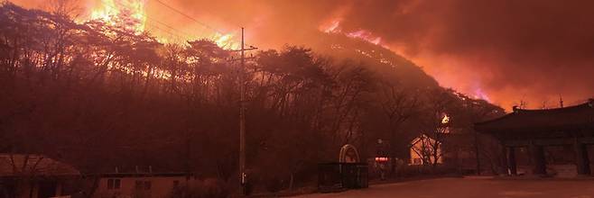 3월25일 경북 의성군 고운사 주차장에서 바라본 주변 산들이 불타고 있다. ⓒ연합뉴스