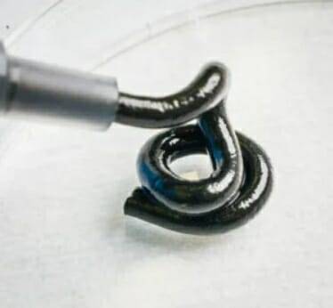 사진=사이언스,Thor Balkhed.