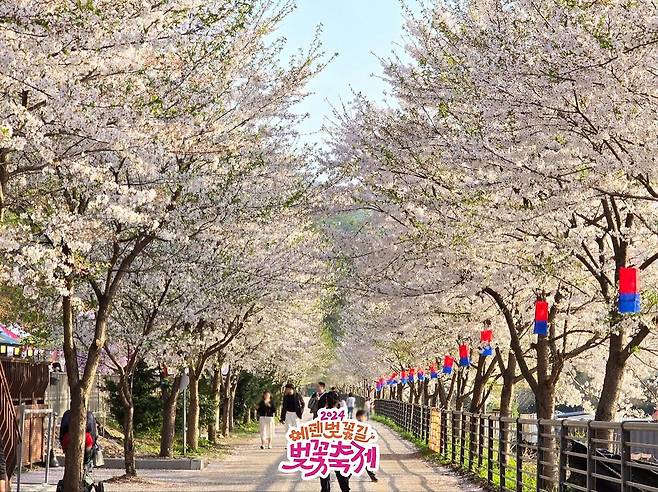 인스타그램 @olivestar_official