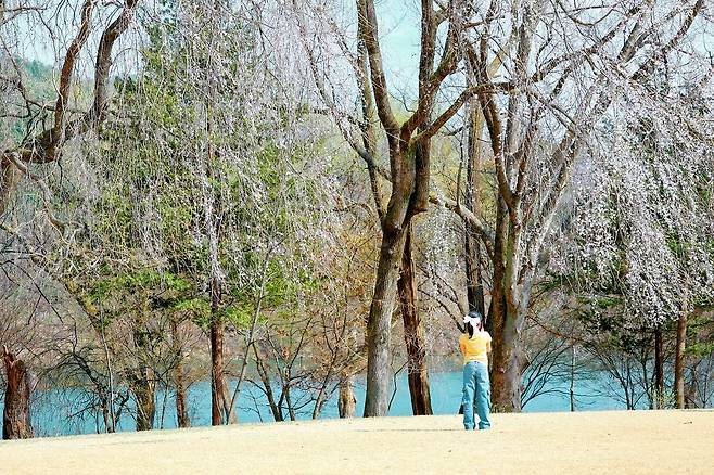 인스타그램 @namiisland_naminara