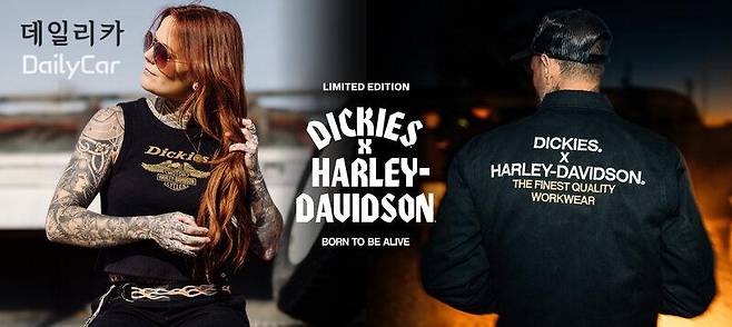 다이즈 할리데이비슨과 맞손