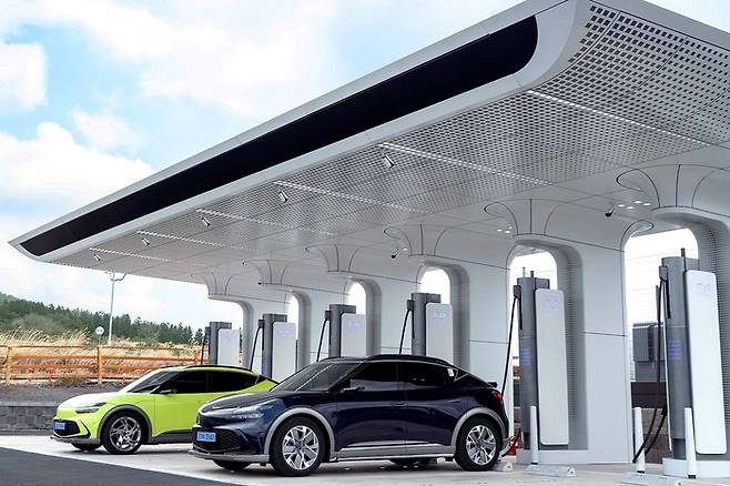 충전 중인 전기차들.