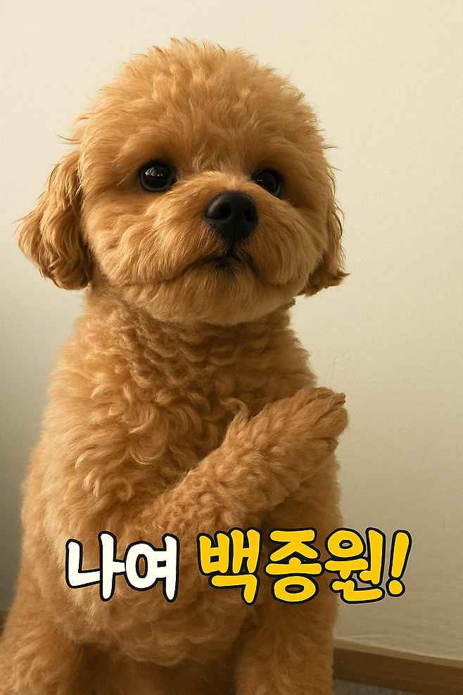 자신감이 넘치는강아지.jpg