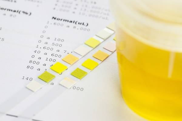 게티이미지뱅크