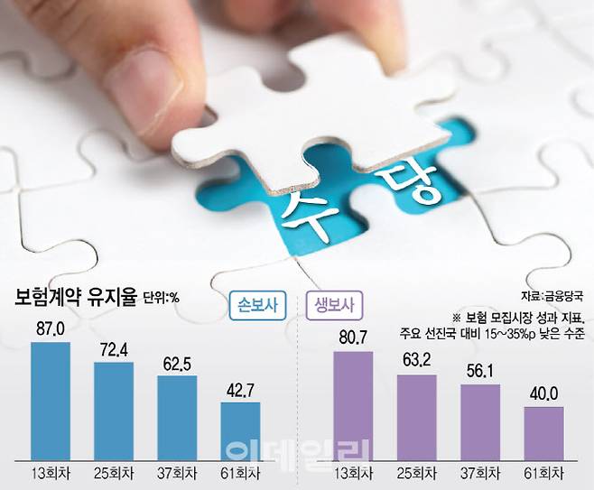 [이데일리 이미나 기자]