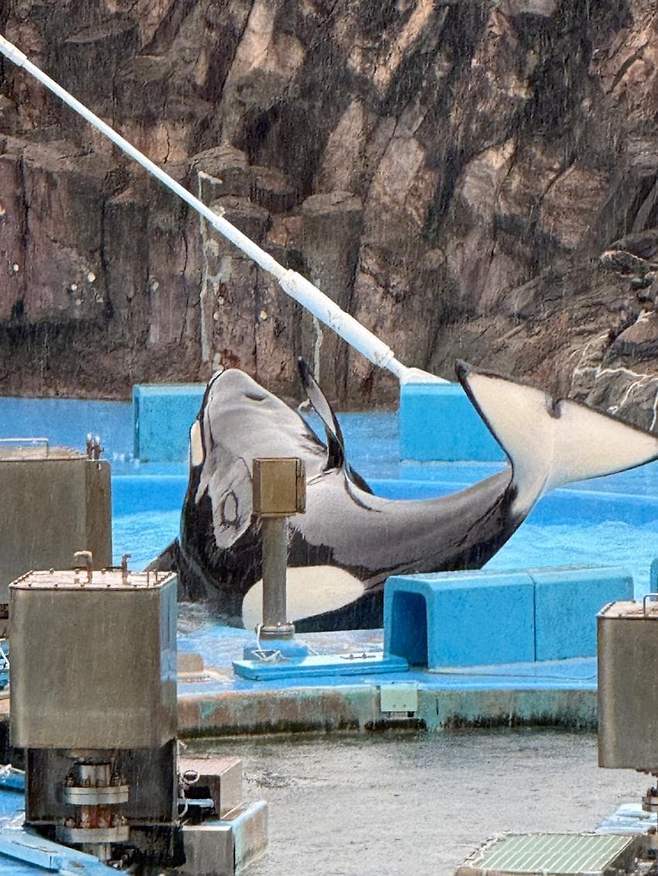 a66f24ac3612b35896ee98bf06d60403245fa6b742362de5e279