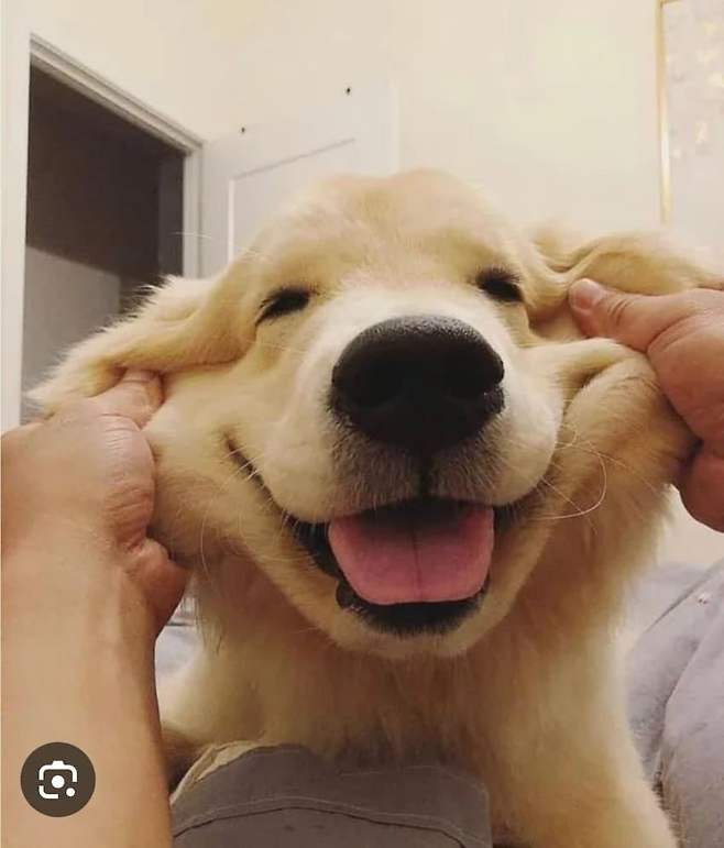 1ebec223e0dc2bae61abe9e74683716d90d521a0bf039bf2f950d4bd9ed564b2574947a9282605303cf28a84d1571838